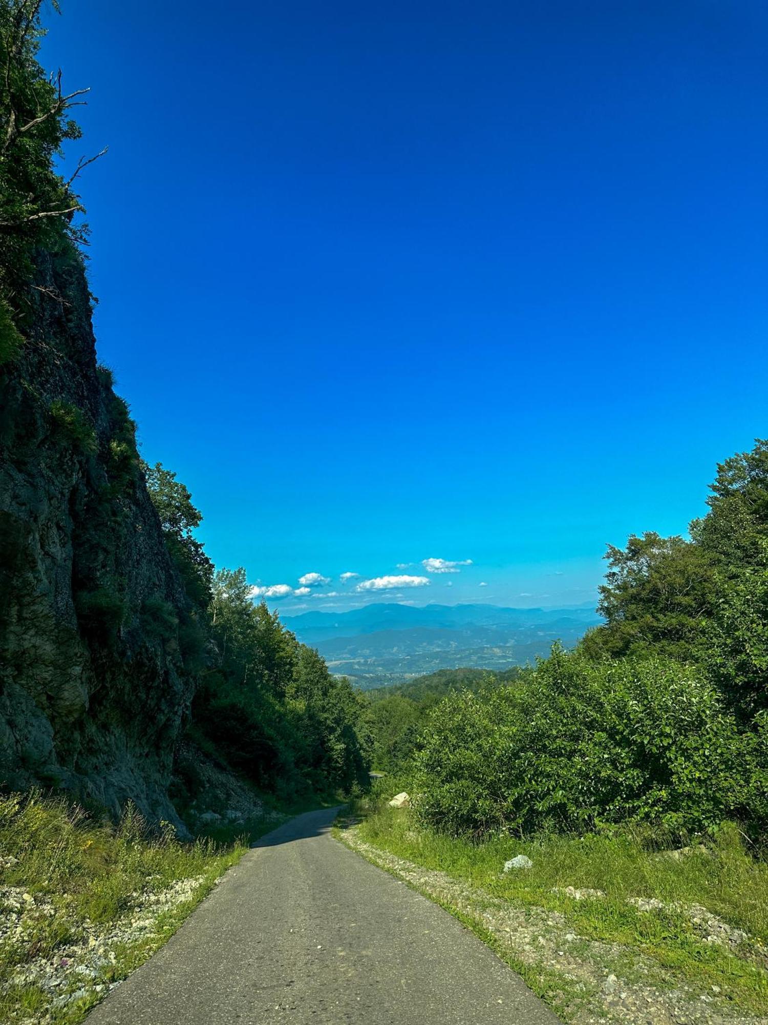 Căsuțele din Poiană Villa Satu Sugatag Exterior foto