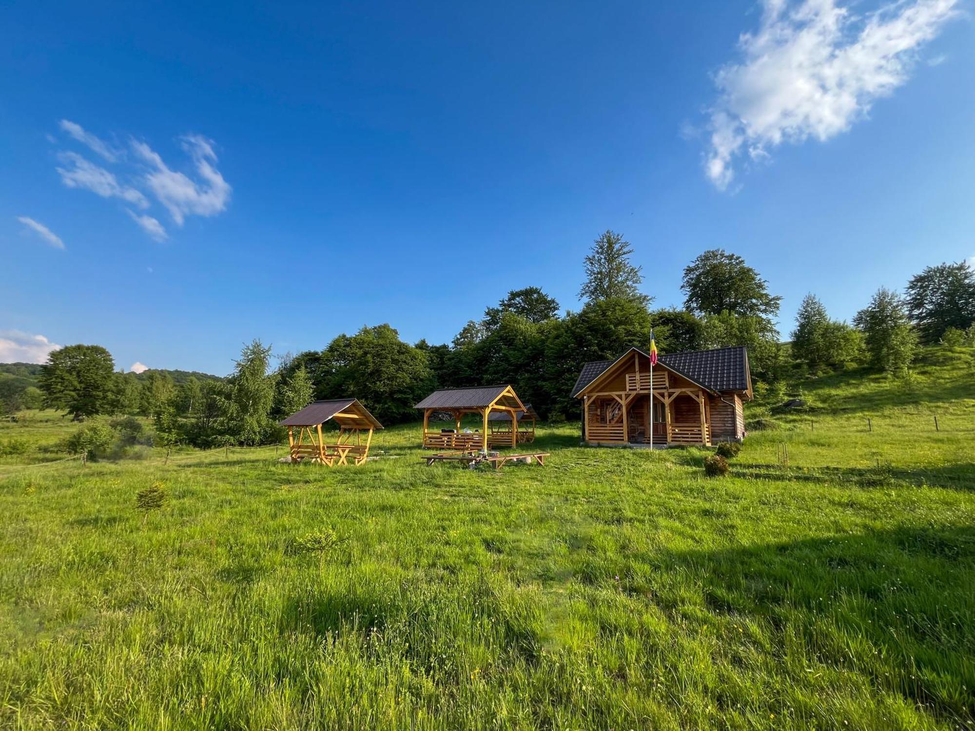 Căsuțele din Poiană Villa Satu Sugatag Exterior foto